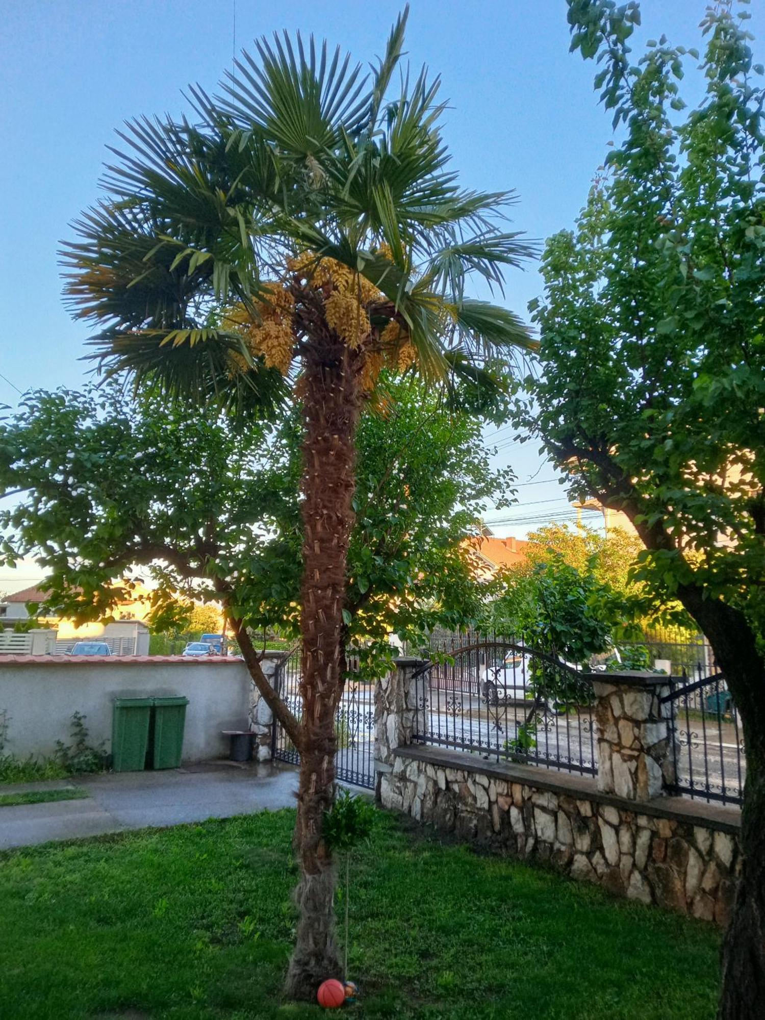 Apartman Zafirovi Gevgelija Exterior foto